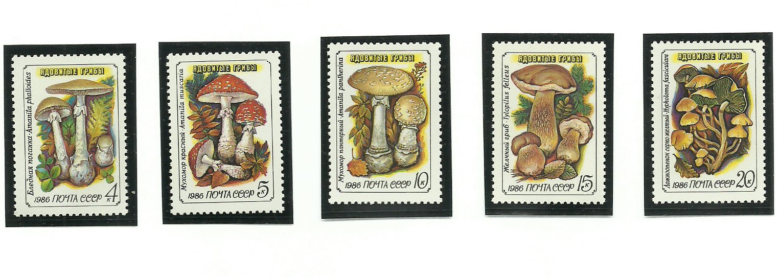 URSS 1986 - ciuperci, serie neuzata