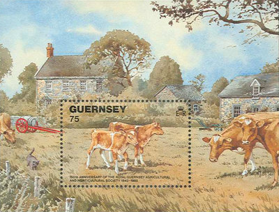 Guernsey 1992 - Animale de ferma, colita neuzata
