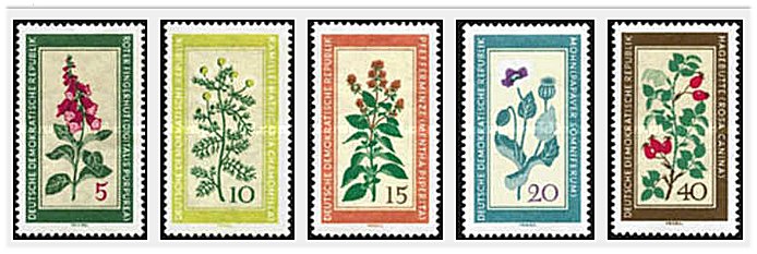 DDR 1960 - plante medicinale, serie neuzata