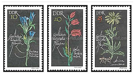 DDR 1966 - flori protejate, serie neuzata