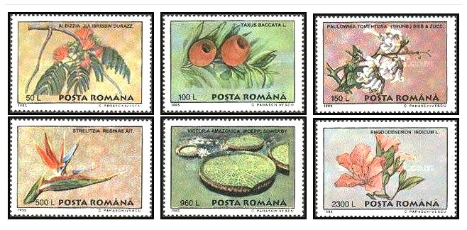 1995 - Flori din gradina botanica Bucuresti, serie neuzata