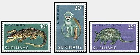 Suriname 1969 - zoo, fauna, serie neuzata