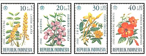 Indonesia 1966 - flori, serie neuzata