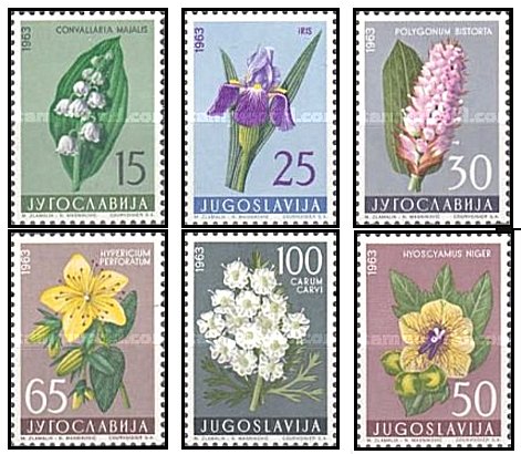 Iugoslavia 1963 - flori, serie neuzata