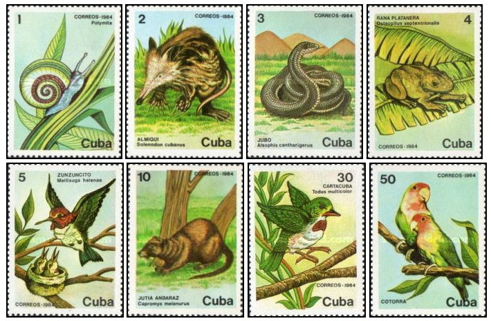 Cuba 1984 - Fauna, animale, pasari, serie neuzata