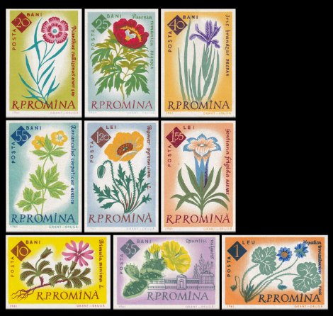 1961 - gradina botanica, serie nedantelata neuzata
