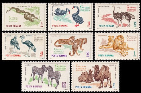 1964 - Gradina zoologica Bucuresti, fauna, animale, serie neuzat