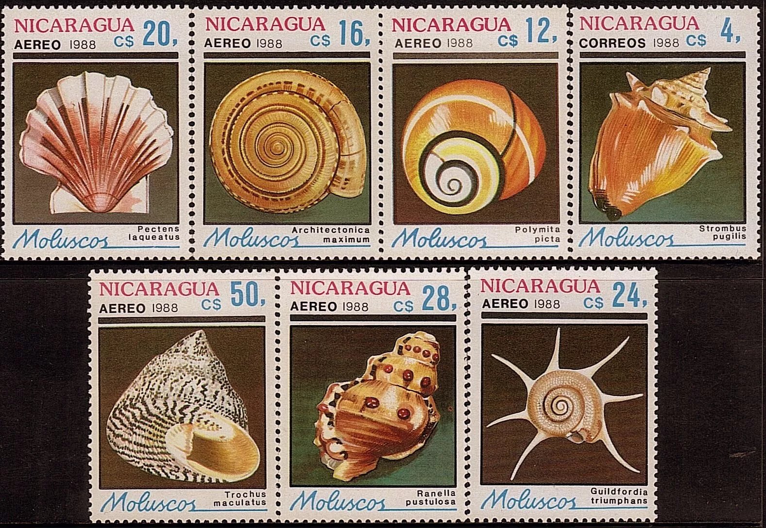Nicaragua 1988 - Fauna marina, cochilii, serie neuzata