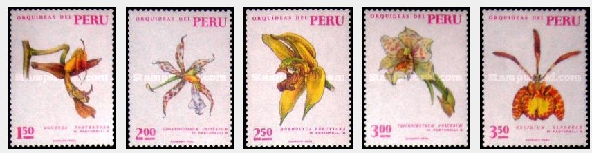 Peru 1971 - Orhidee, flori, serie neuzata