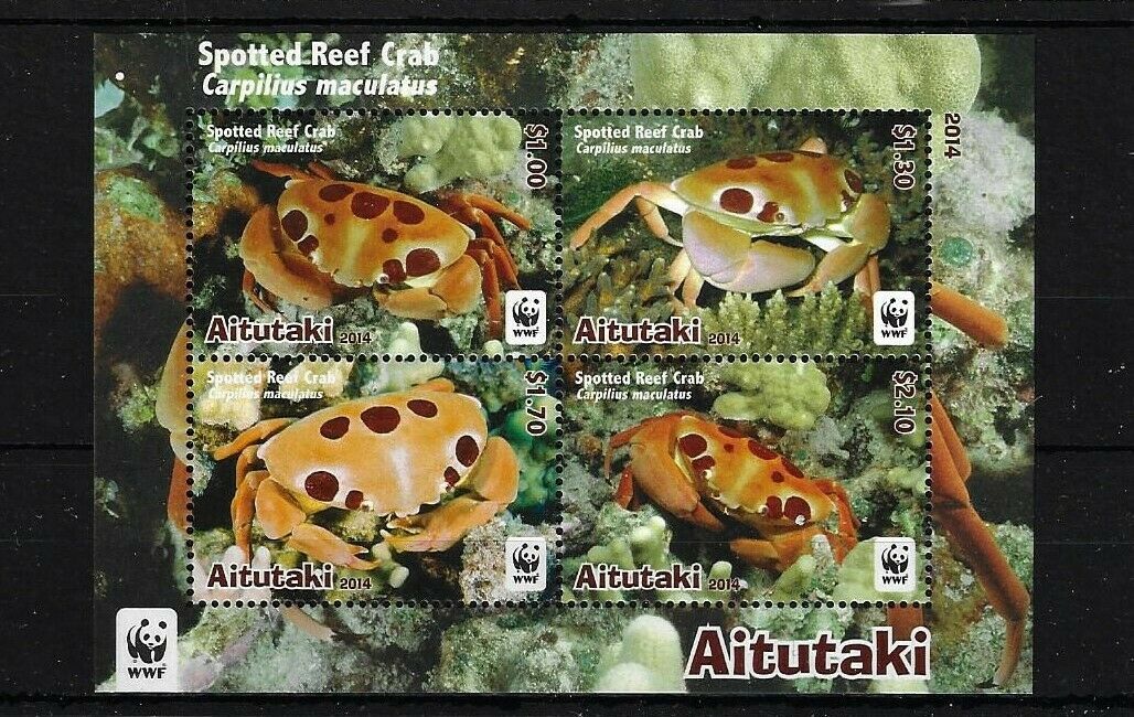 Aitutaki 2014 - Fauna WWF, crabi, bloc neuzat