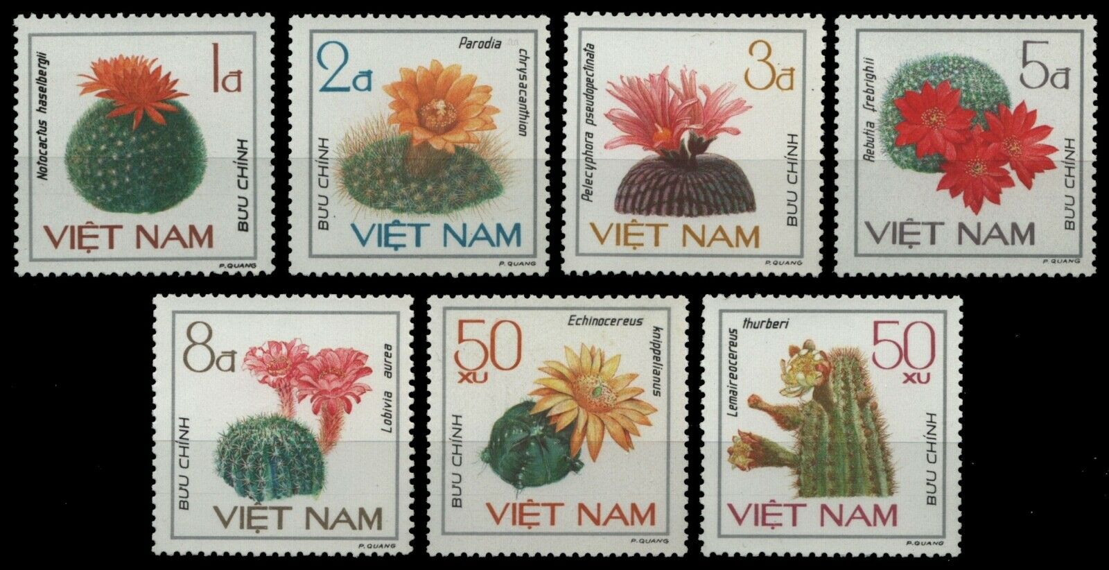 Vietnam 1985 - Flori de cactus, serie neuzata