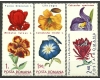 1971 - Flori, serie neuzata