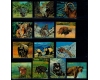 Bhutan 1970 - Fauna, animale, serie timbre 3D