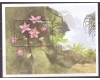 Nevis 1999 - Flori, orhidee, colita neuzata