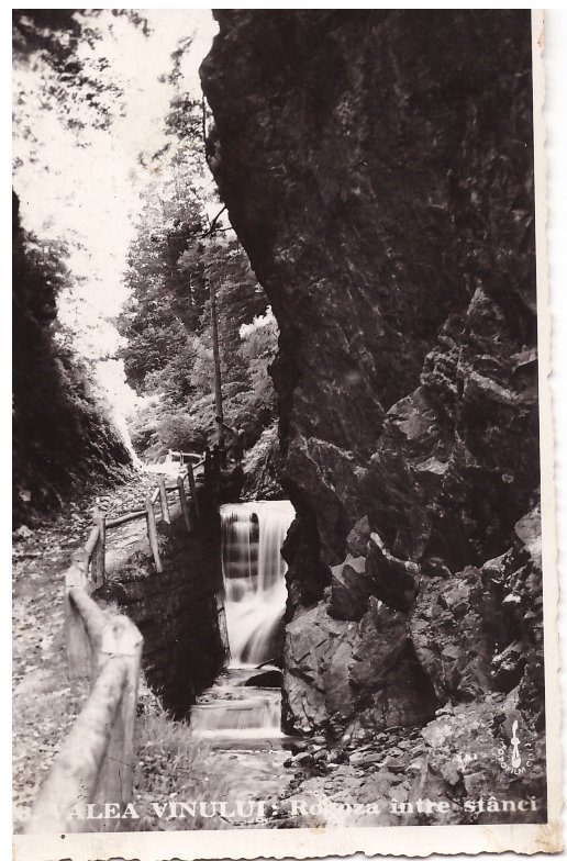 Valea Vinului (Jud. Satu Mare) 1937 - vedere