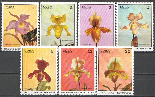 Cuba 1972 - Flori, orhidee, serie neuzata