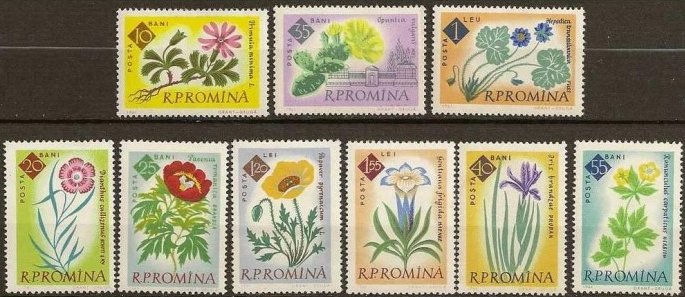 1961 - gradina botanica, flori, flora, serie neuzata