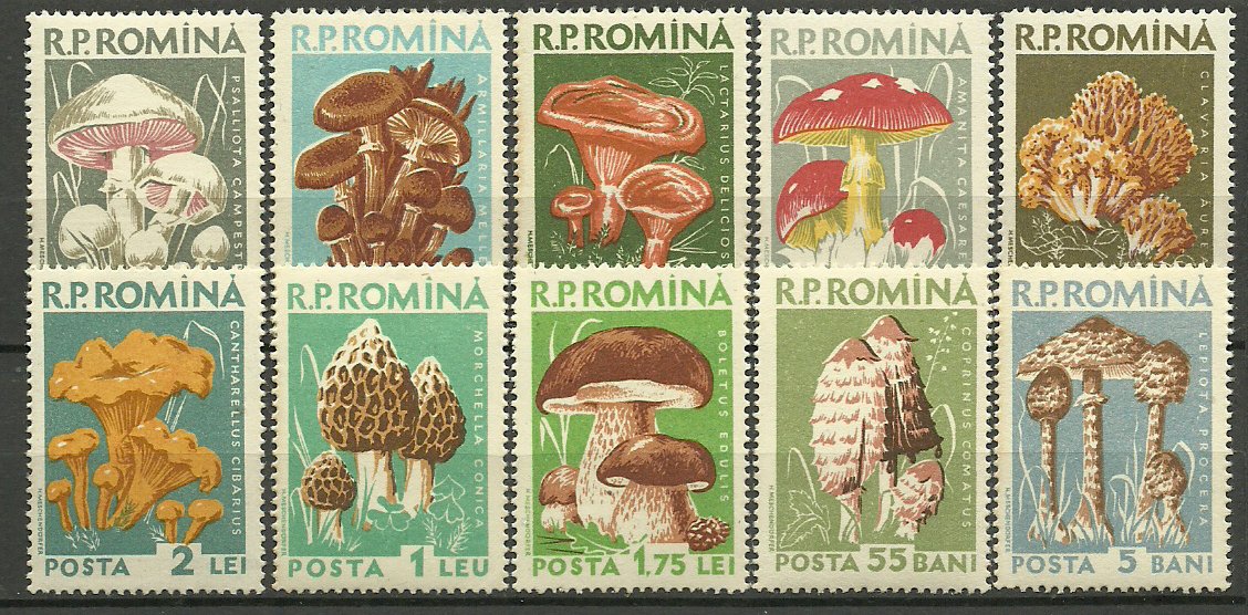 1958 - Ciuperci comestibile, serie neuzata