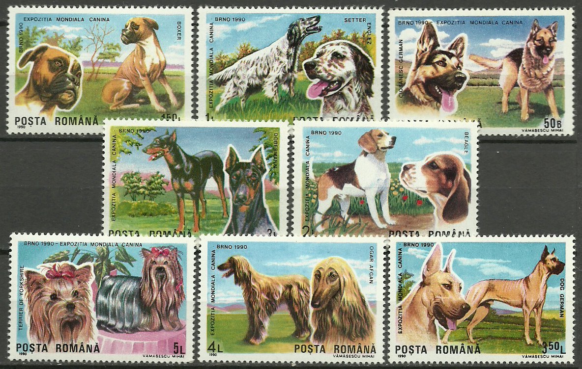 1990 - Caini, expo canina, serie neuzata