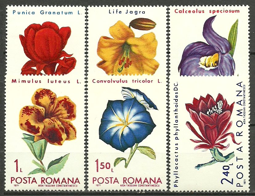 1971 - Flori, serie neuzata
