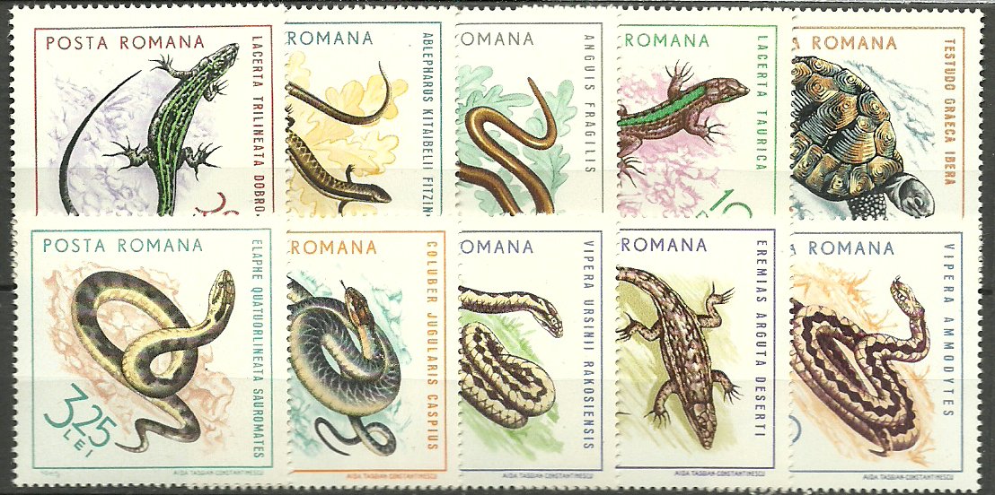 1965 - Reptile, fauna, serie neuzata