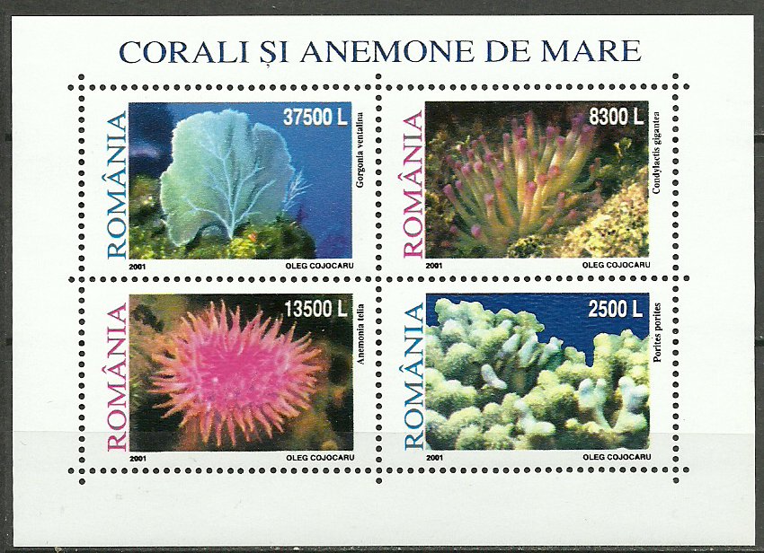 2001 - Corali si anemone, LP1577a, bloc neuzat