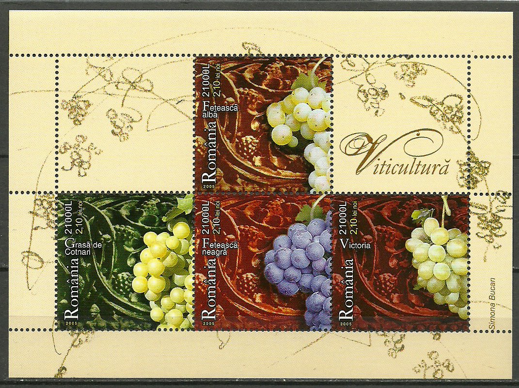 2005 - viticultura, struguri, bloc neuzat