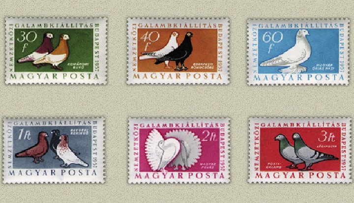 Ungaria 1957 - porumbei, serie neuzata