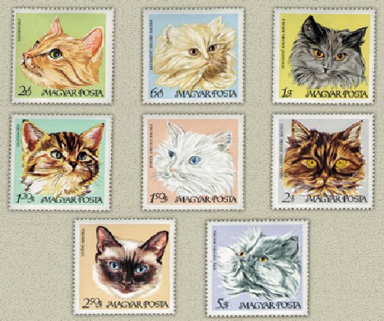Ungaria 1968 - pisici, serie neuzata