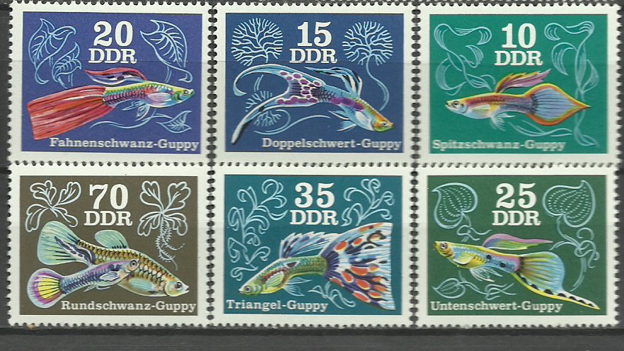 DDR 1976 - pesti de acvariu, serie neuzata