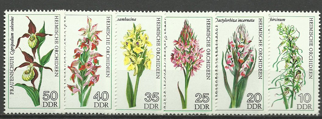 DDR 1976 - flori, orhidee, serie neuzata