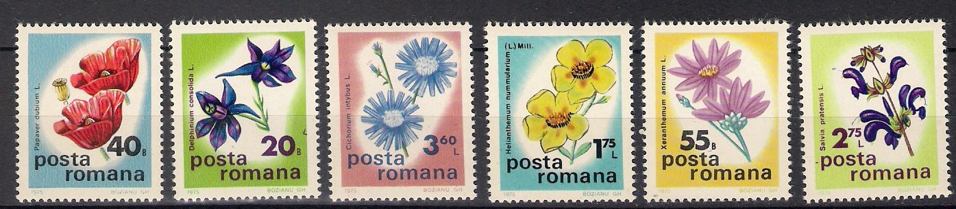 1975 - Flori de camp, serie neuzata