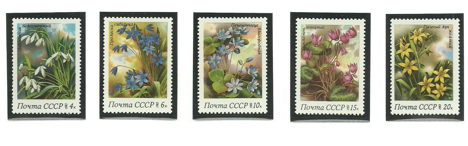 URSS 1983 - flori de camp, serie neuzata