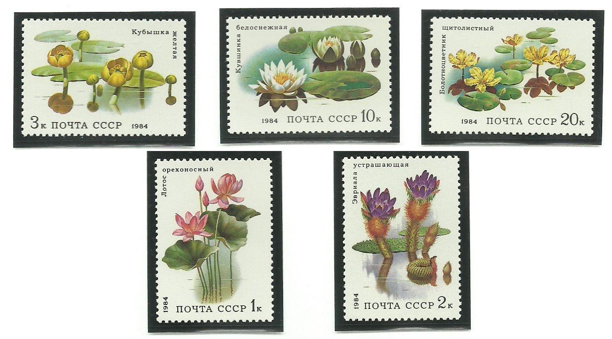 URSS 1984 - flori, serie neuzata