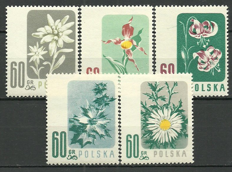 Polonia 1957 - flori, serie neuzata