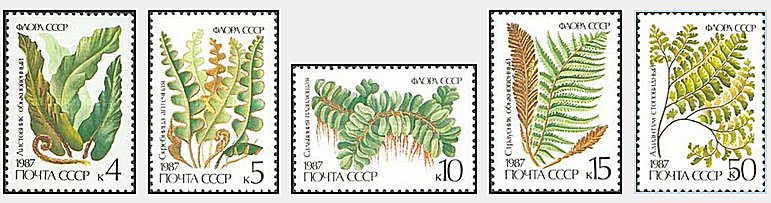 URSS 1987 - Flora, plante, serie neuzata