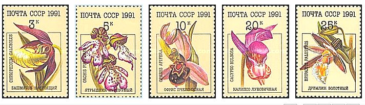 URSS 1991 - flori, serie neuzata