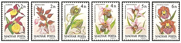 Ungaria 1987 - orhidee, serie neuzata