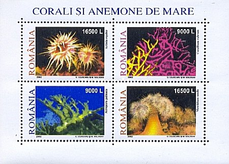 2002 - Corali si Anemone, bloc neuzat