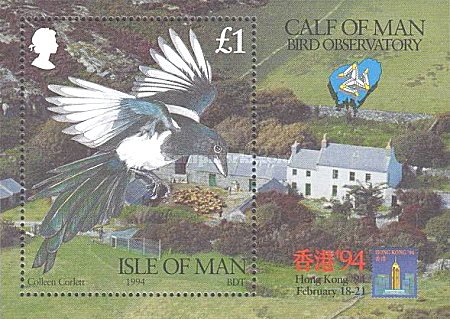 Isle of Man 1994 - ornitologie, pasari, colita neuzata