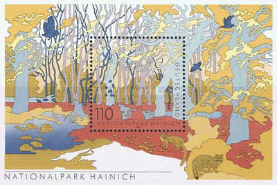 Germania 2000 - Hainich National Park, colita neuzata