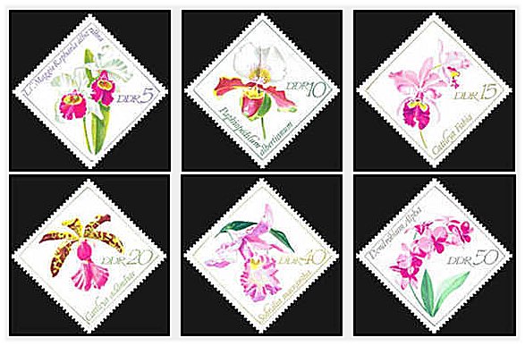 DDR 1968 - Flori, orhidee, serie neuzata