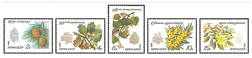 URSS 1980 - Flora, arbori, serie neuzata