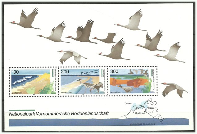 Germania 1996 - Parc National, colita neuzata