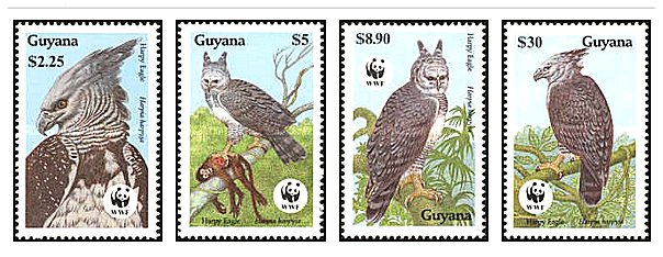 Guyana 1990 - WWF, Harpy Eagle, serie neuzata
