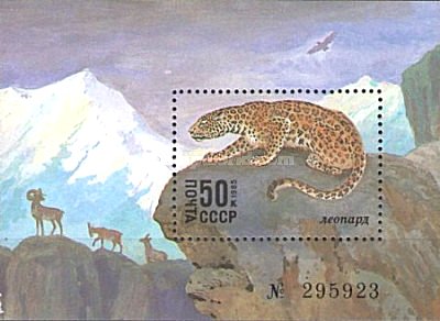 URSS 1985 - Fauna, leopard, colita neuzata