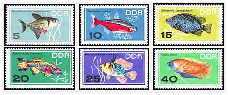 DDR 1966 - Pesti de acvariu, serie neuzata