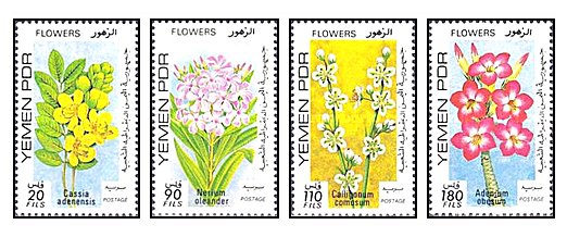 Yemen Sud 1979 - flori, serie neuzata