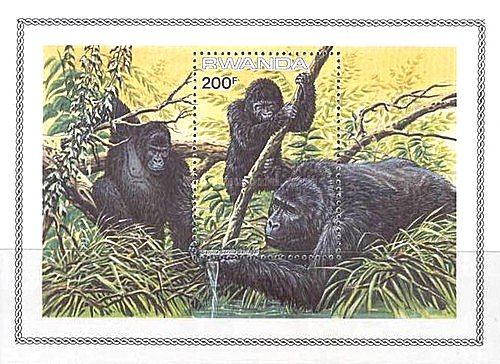 Rwanda 1985 - Fauna, gorile, colita neuzata