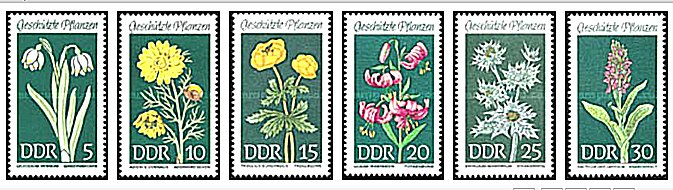 DDR 1969 - flori, serie neuzata